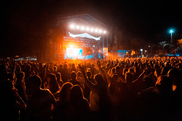 crowd at music festival